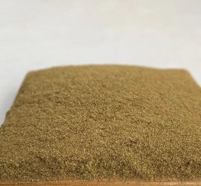 解密鵝產業供應鏈 供應商、價格動態與批發市場及飼料原料銷售全解析