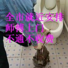 合肥瑤海區(qū)志邦家政服務(wù)部 專業(yè)家政服務(wù)，為您的家庭煥發(fā)溫馨與潔凈